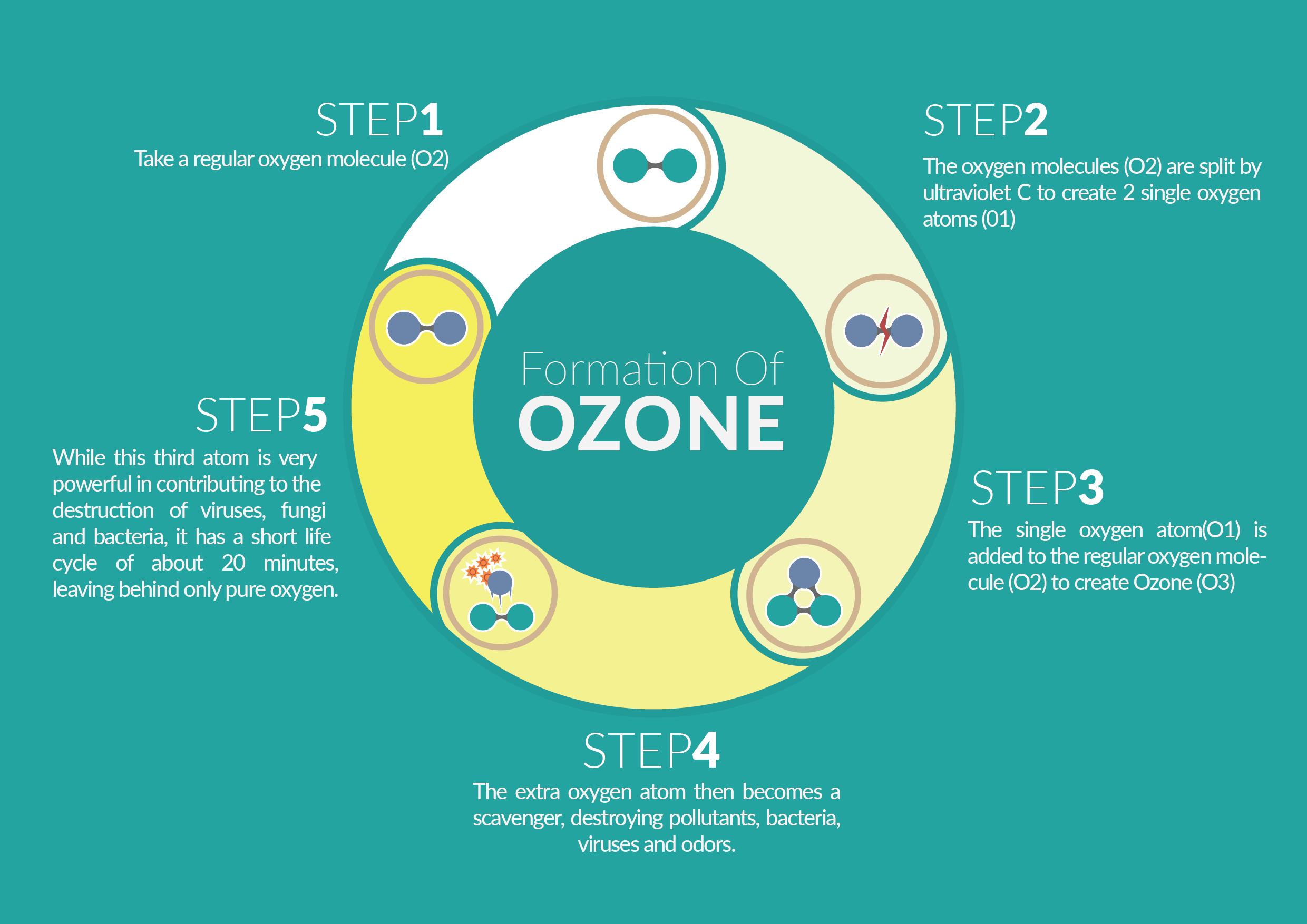 What Is The Chemical Equation Of Ozone Formation Quizlet